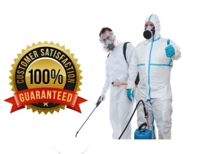 insect cleaning company